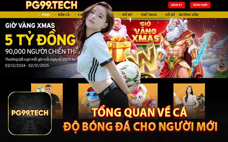 Tổng Quan Về Cá Độ Bóng Đá Cho Người Mới